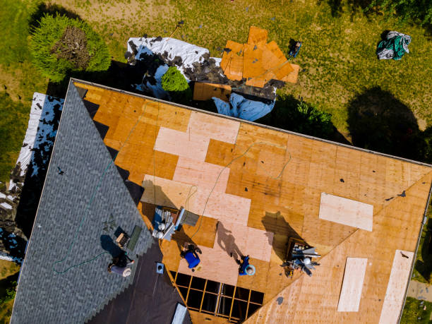 Best Roof Restoration Services  in Bainbridge, OH