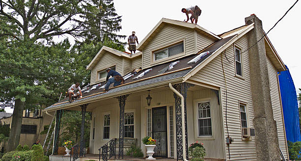 Best Roof Repair Services  in Bainbridge, OH